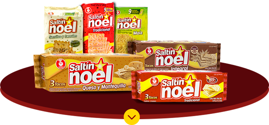 500-ideas-saltin-noel